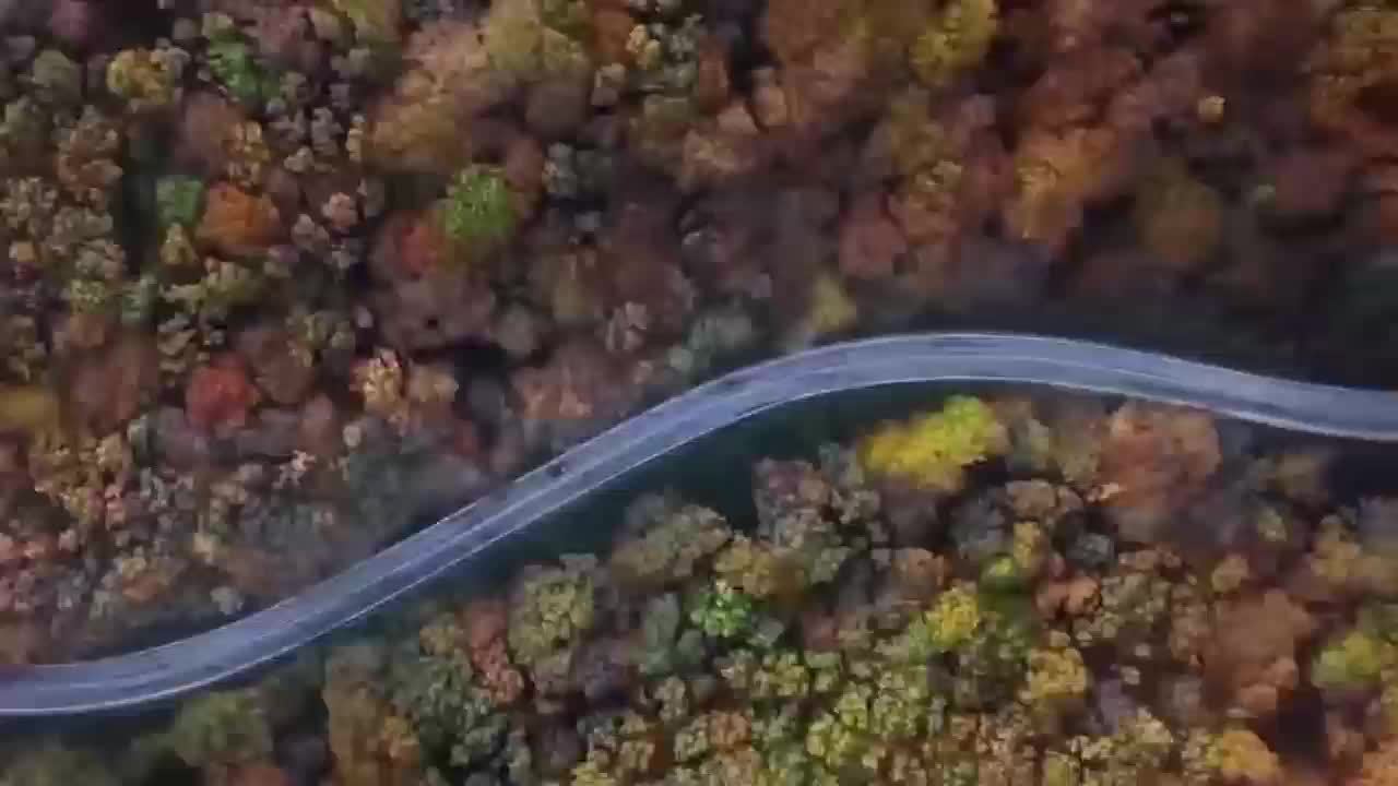 Inflador automático con bateria recargable, luz LED